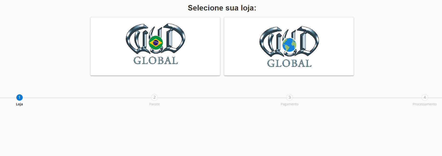 Passo 3 – Loja carregada na nova aba